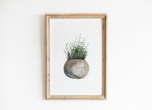 Potted Brush